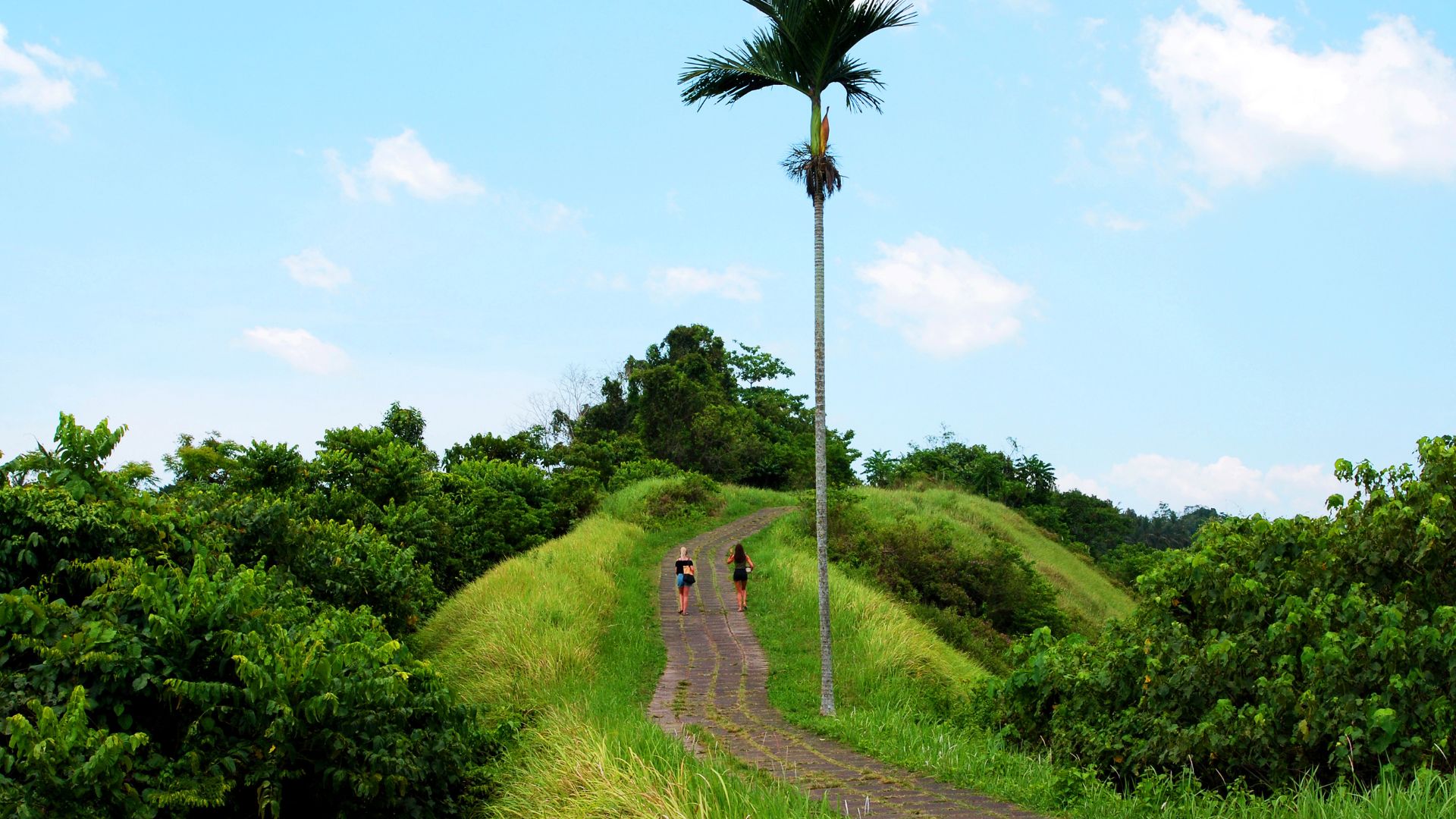 Jogging Campuhan Ubud