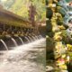 The Meaning of Melukat in Bali